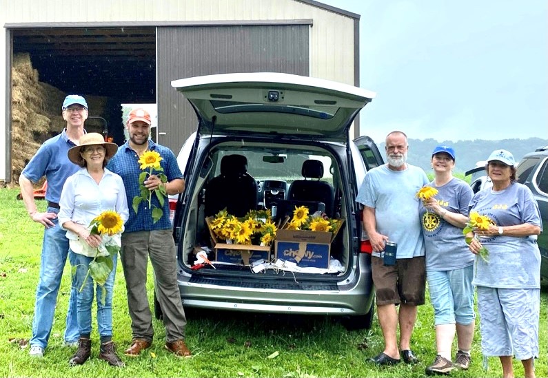 Sunflower Picking Team